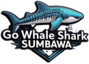 Go Whale Shark Sumbawa