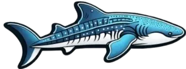 Go Whale Shark Sumbawa